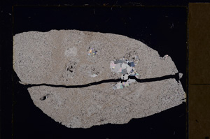 Cross Polarized, E28987