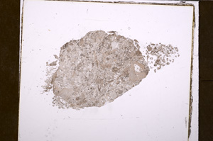 Plane Polarized, E29074