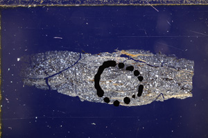 Cross Polarized, E29110