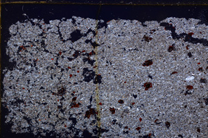 Cross Polarized, E29161