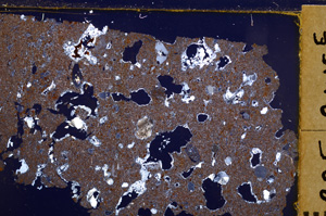 Cross Polarized, E29162