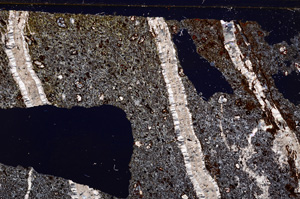 Cross Polarized, E29165