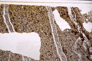 Plane Polarized, E29165