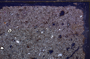 Cross Polarized, E29169