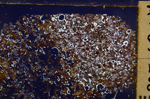 Cross Polarized, E29170