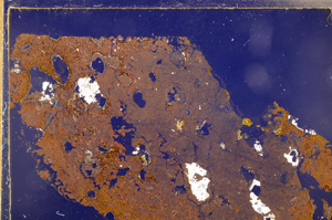 Cross Polarized, E29173