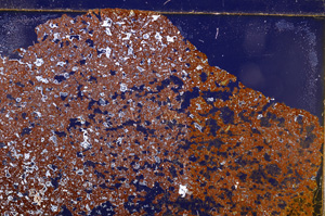 Cross Polarized, E29179