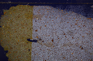 Cross Polarized, E29182
