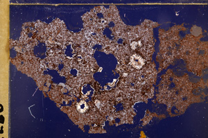 Cross Polarized, E29187