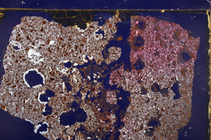 Cross Polarized, E29189