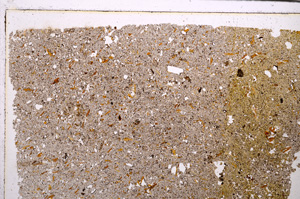 Plane Polarized, E29192