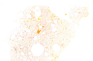 Plane Polarized, E29193