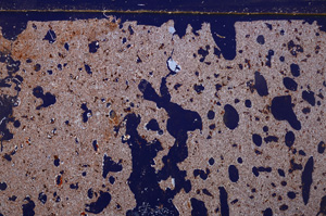 Cross Polarized, E29195