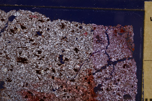 Cross Polarized, E29198