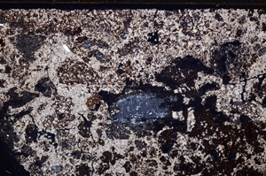 Cross Polarized, E29201