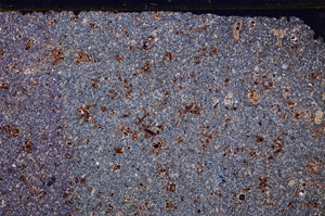 Cross Polarized, E29208