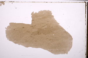 Plane Polarized, E29213