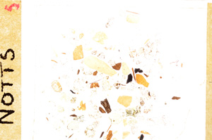 Plane Polarized, E29227