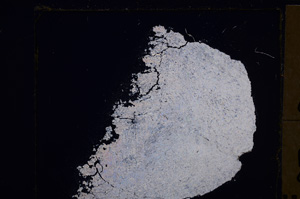 Cross Polarized, E29262