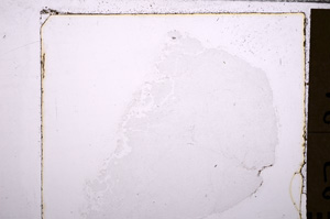 Plane Polarized, E29262