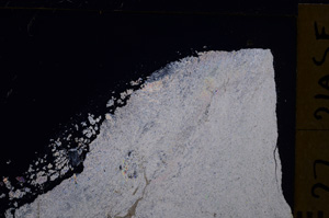 Cross Polarized, E29263