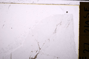 Plane Polarized, E29263