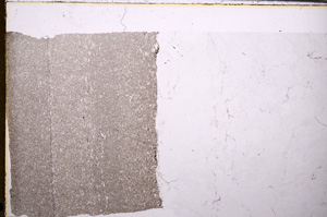 Plane Polarized, E29265