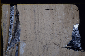 Cross Polarized, E29266