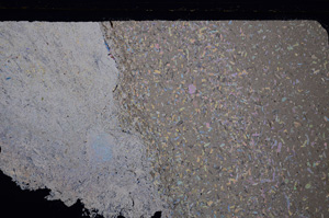 Cross Polarized, E29267