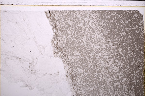 Plane Polarized, E29267