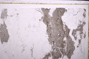 Plane Polarized, E29268