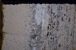 Cross Polarized, E29269