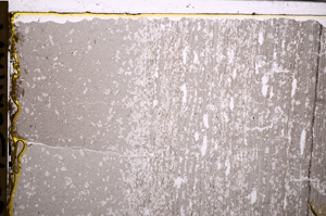 Plane Polarized, E29269