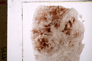 Plane Polarized, E29276