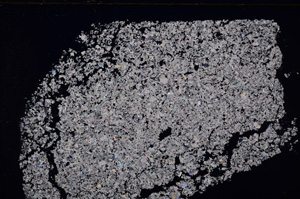 Cross Polarized, E29285