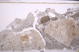 Plane Polarized, E29286