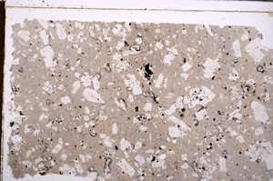 Plane Polarized, E29287