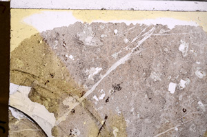 Plane Polarized, E29288