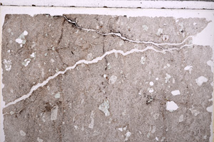 Plane Polarized, E29289