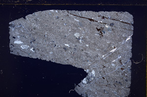 Cross Polarized, E29290