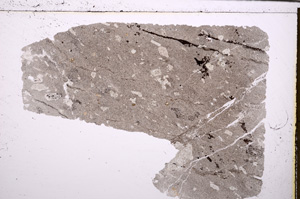 Plane Polarized, E29290