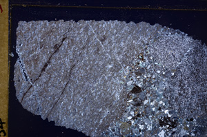 Cross Polarized, E29291