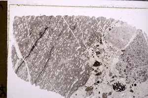 Plane Polarized, E29291