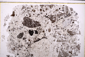 Plane Polarized, E29292