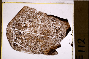Plane Polarized, E29308