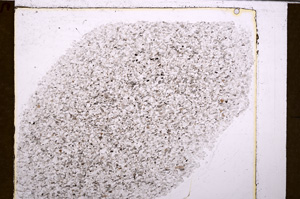 Plane Polarized, E29347