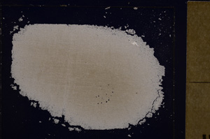 Cross Polarized, E29355