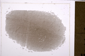 Plane Polarized, E29355