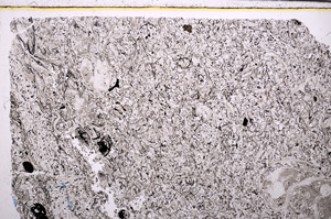 Plane Polarized, E29358