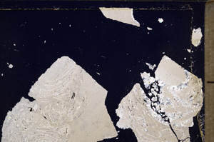 Cross Polarized, E29360